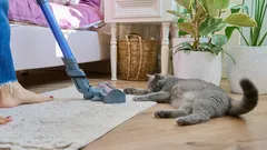 5 dicas que ajudarão a manter a casa organizada sem muito esforço