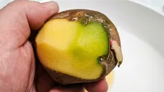 Batata verde: pode-se comer e por que ela fica assim?