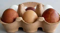 3 maneiras de saber se os ovos na geladeira já estão estragados - mais fácil do que parece