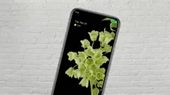 De repente, um ponto verde apareceu na tela do telefone: vale a pena se preocupar?